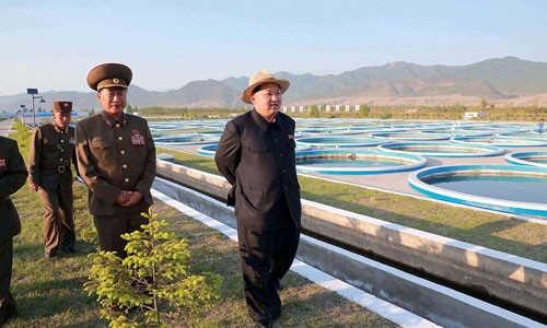 Lanh dao Kim Jong-un thich thu nuoi ca hoi-Hinh-5